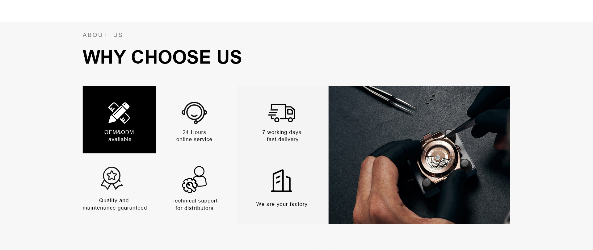 Brainox OEM ODM service overview